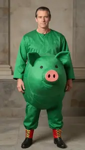 Theatrical In Traditional Piggy Bank Costume