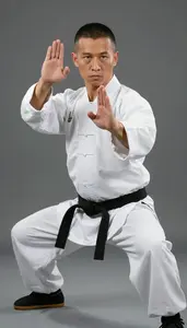 Wushu Wing Chun Practitioner Wearing Uniform Quick Sweeping