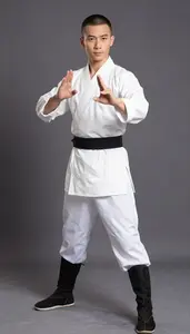 Young In 20s Wearing Detailed Kung Fu Master Costume