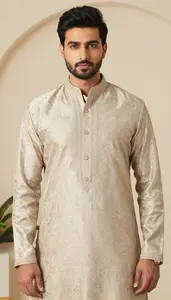 Man In Iron Sherwani
