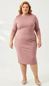 Plus Size Sheath Dress With Side Panel Shaping For A Casual Occasion Fashion