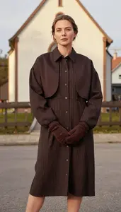 Pinstripe Shirt Dress Stock Photo Chocolate Brown Fashion