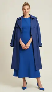Royal Blue Princess Line Gown For Women Fashion Stock Photo