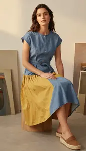 Classy Germanic Woman Woman In Chambray Dress