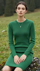 Color Blocking Ribbed Sweater Dress Fashion Stock Photo