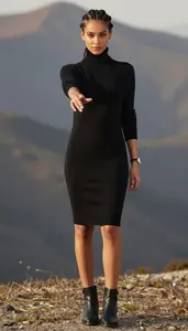 Womens Turtleneck Sweater Dress Poised Style