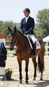 Equestrian Coach Riding A Horse In In An Equestrian Riding Arena At Workplace