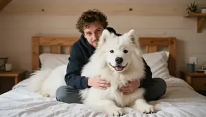 Man Cuddling A Large Fluffy Samoyed Dog In A Cozy Cabin Bed