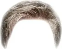 Men's Hairstyle, Wig. Add To Your Photo