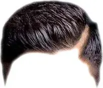 Men's Hairstyle, Wig. Add To Your Photo