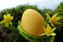 Easter Egg Yellow Daffodils background wallpaper