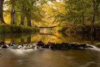River Cutler Water Water background wallpaper