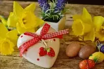 Heart Daffodils Gift background wallpaper