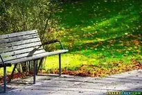 Wood Bench Rest background wallpaper