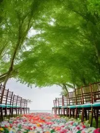 Wedding Photoshoot Background
