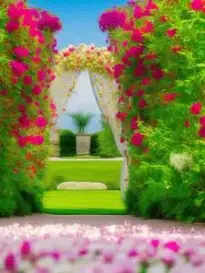 Wedding Photoshoot Background