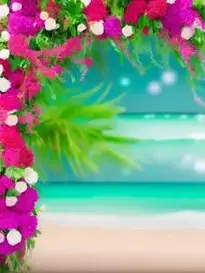 Wedding Photoshoot Background