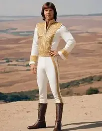 Abba Outfit Fancy Dress face swap