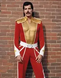 Freddie Mercury Fancy Dress Fancy Dress face swap