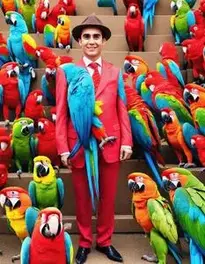Parrot face swap