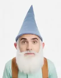 Gnome face swap