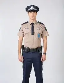 Police face swap