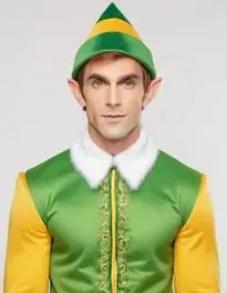 Elf Fancy Dress Men face swap
