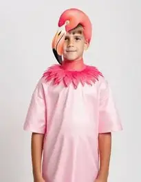 Boy Flamingo face swap