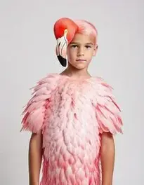 Boy Flamingo face swap