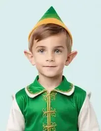 Boy Elf Outfit face swap
