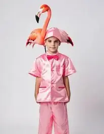 Boy Flamingo face swap