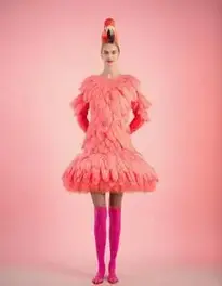 Woman Flamingo Fancy Dress face swap