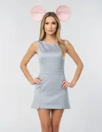 Woman Mouse face swap