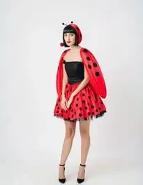 Adult Ladybird Fancy Dress face swap
