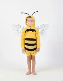 Childrens Bee Fancy Dress face swap