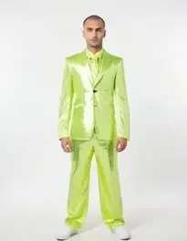 Lime Fancy Dress Outfit face swap