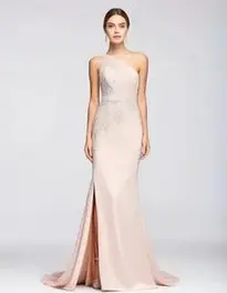 Womens Floor Length Gown Dress face swap